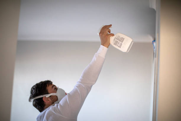 Best Toxic Mold Removal  in Hines, OR