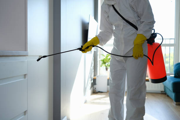 Mold Removal Process in Hines, OR