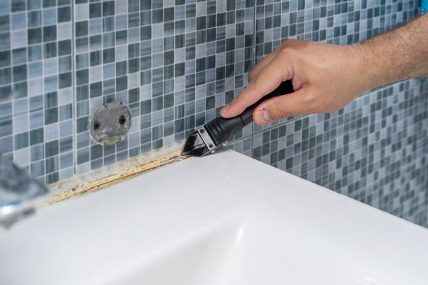 Hines, OR Mold Removal Pros