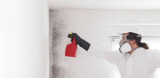 Best Emergency Mold Removal  in Hines, OR